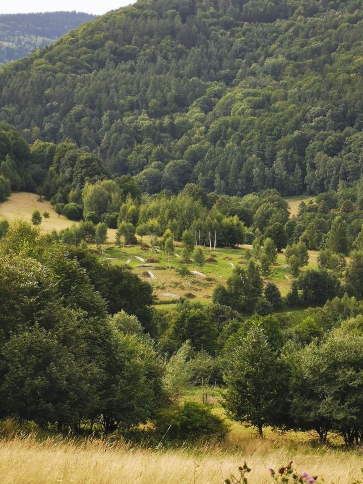 Działka budowlana Nowa Bystrzyca. Zdjęcie 2