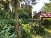 Działka siedliskowa Drożdżyn. Zdjęcie 4