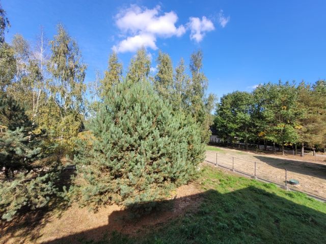 dom wolnostojący, 5 pokoi Złotokłos. Zdjęcie 37