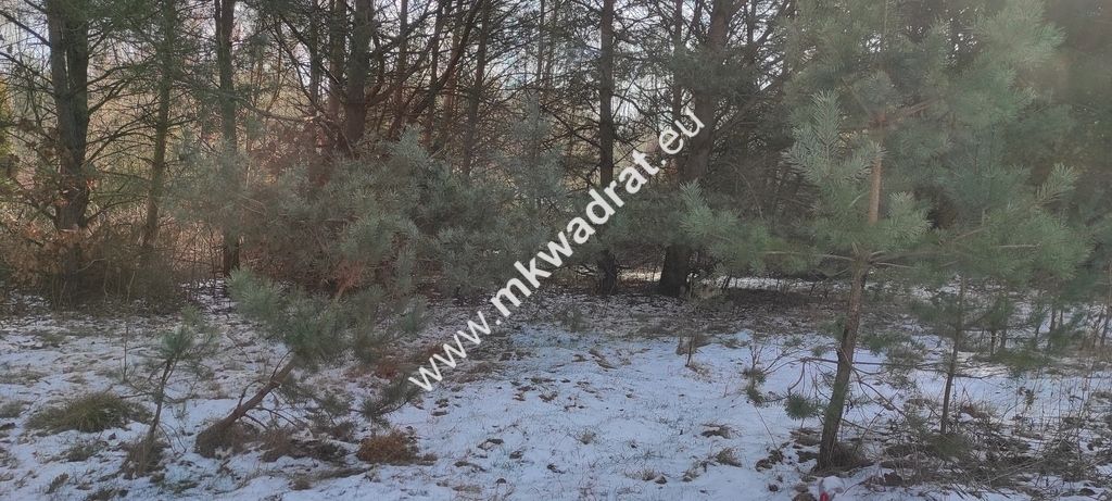 Działka budowlana Ojrzanów. Zdjęcie 2