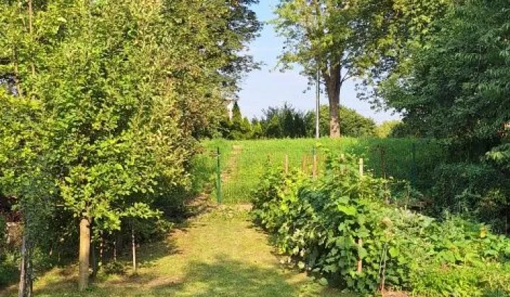 Działka rod Wrocław
