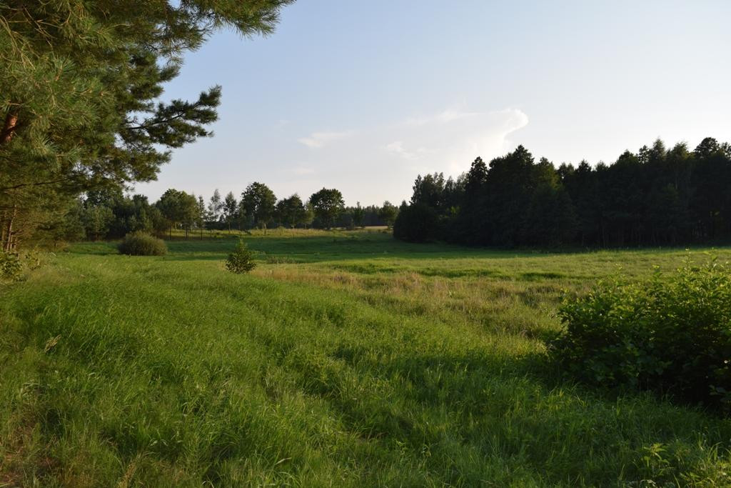 Działka budowlana Rydzewo. Zdjęcie 6