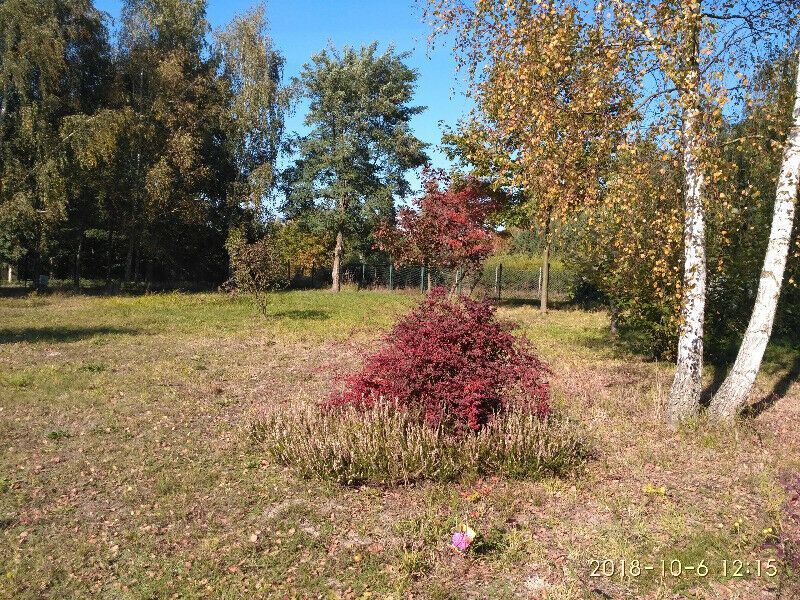 Działka budowlana Kocerany, ul. Widokowa. Zdjęcie 6