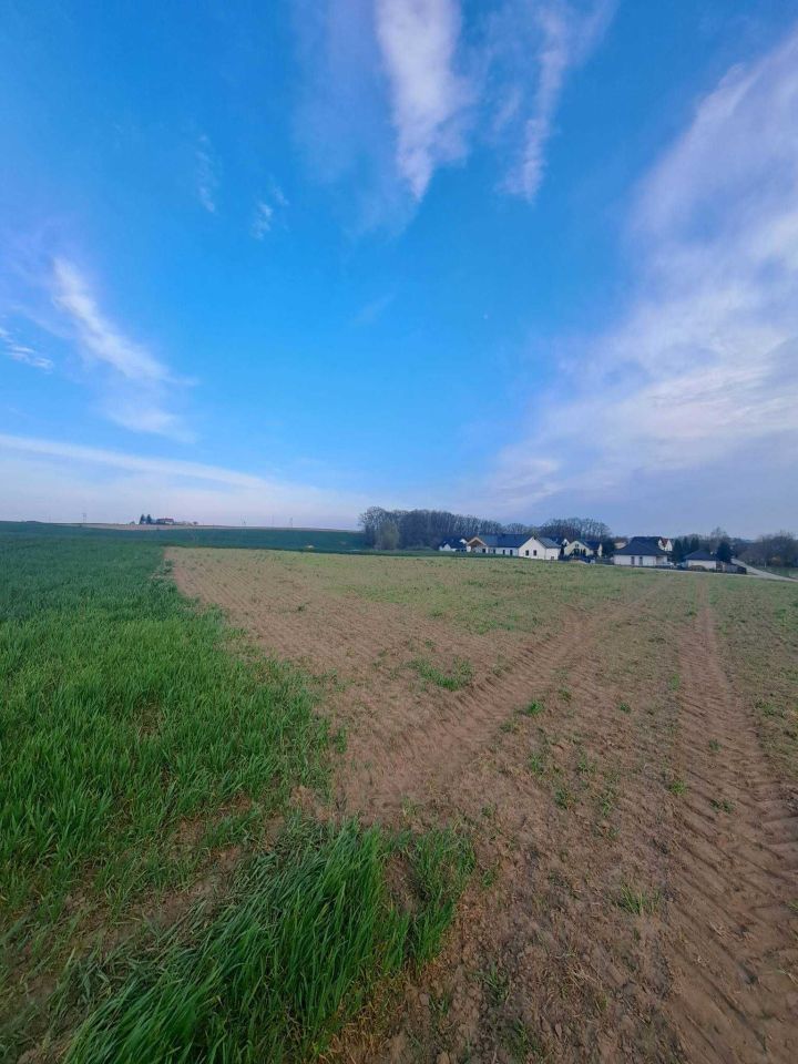 Działka rolno-budowlana Białochowo. Zdjęcie 2