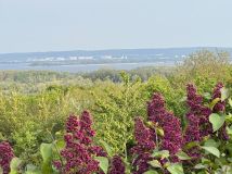 Działka rod Szczecin Bukowo, ul. Górska. Zdjęcie 4