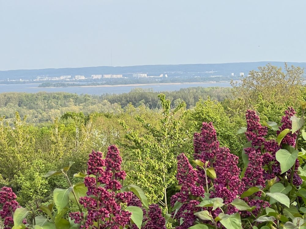 Działka rod Szczecin Bukowo, ul. Górska. Zdjęcie 5