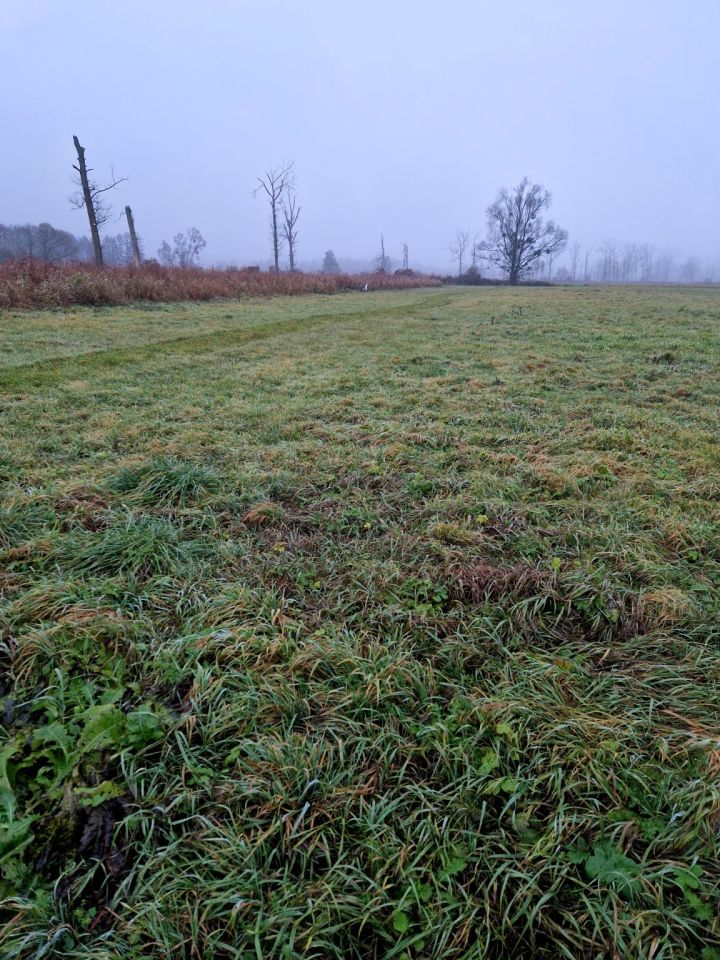 Działka rolna Kuźnica Czarnkowska. Zdjęcie 7