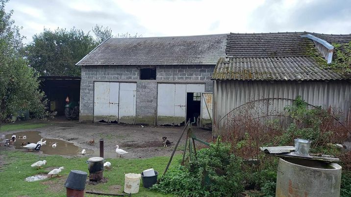 Działka rolno-budowlana Brzezówka