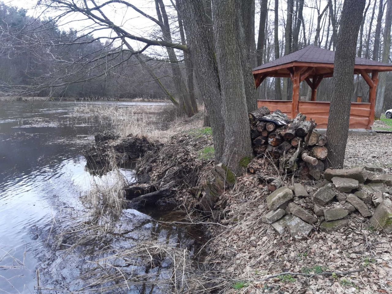 Działka inwestycyjna Przywóz. Zdjęcie 4