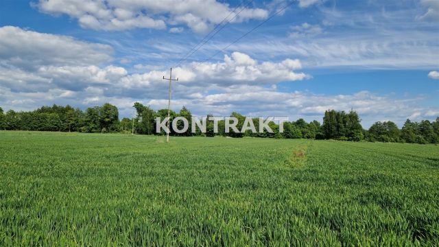 Działka budowlana Poręba Wielka, ul. Krokusowa. Zdjęcie 3