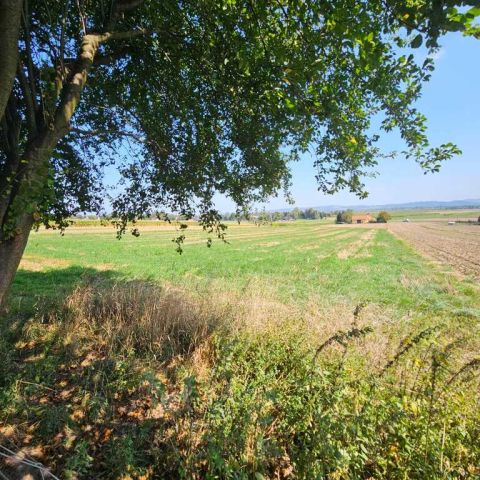 dom wolnostojący, 5 pokoi Krakuszowice. Zdjęcie 2