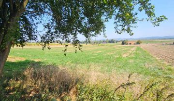 dom wolnostojący, 5 pokoi Krakuszowice