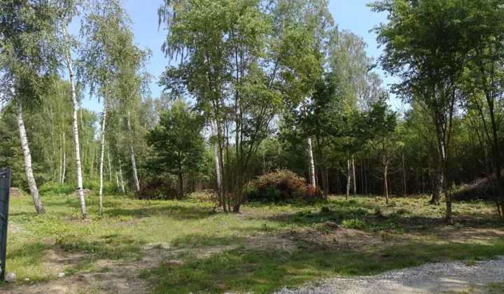 Działka budowlana Szczęsne, ul. Swobodna