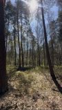 Działka budowlana Żarki-Letnisko. Zdjęcie 2