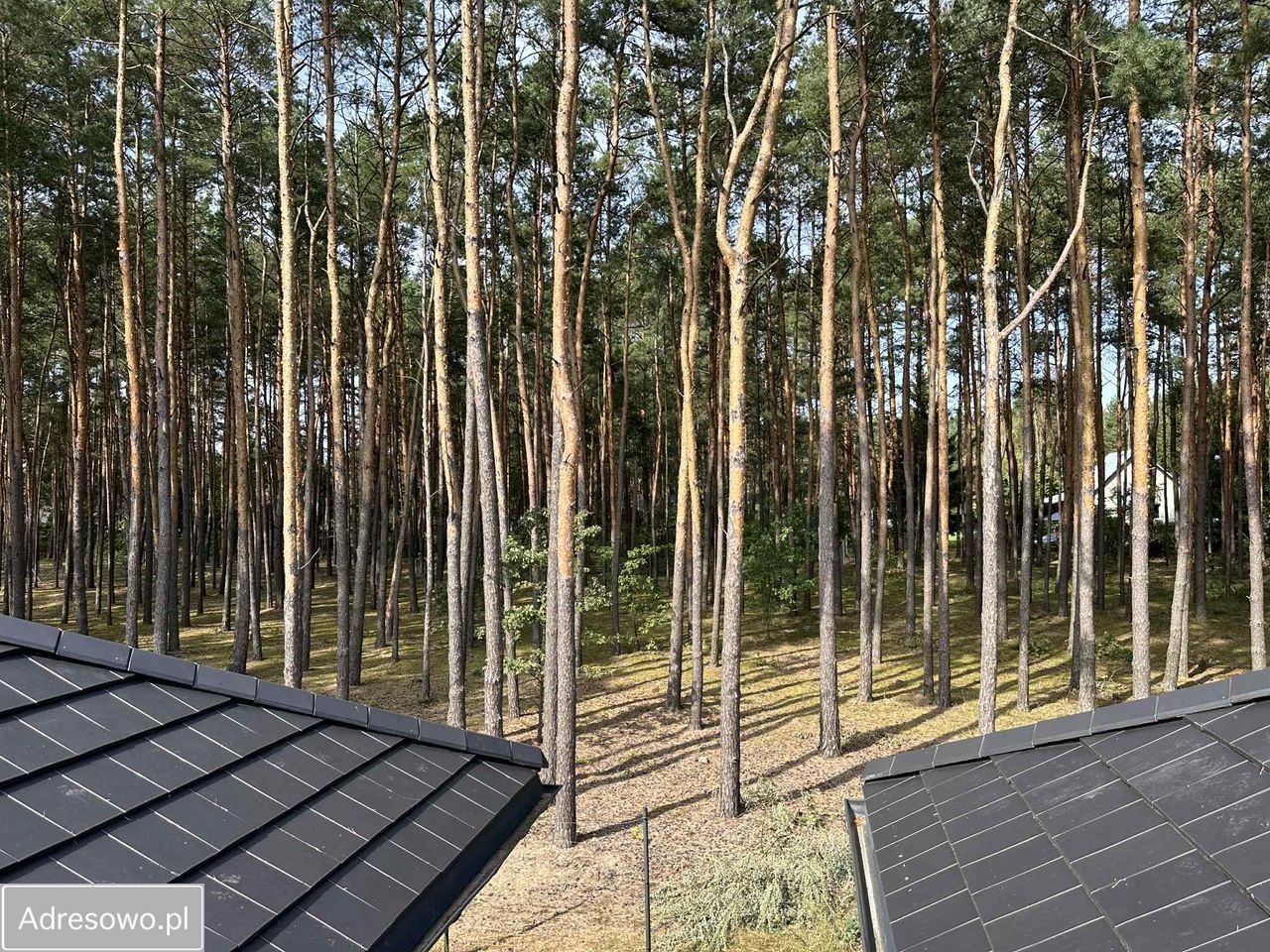 dom wolnostojący, 5 pokoi Świniotop. Zdjęcie 12