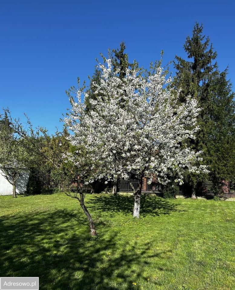 Działka budowlana Warszawa Młociny, ul. Muzealna. Zdjęcie 3