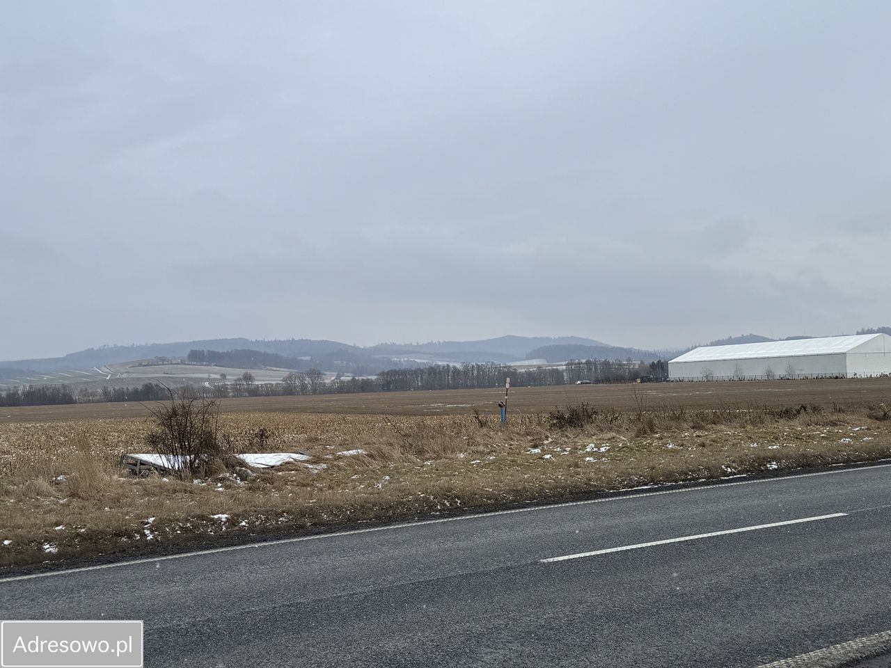 Działka inwestycyjna Jaszkowa Dolna. Zdjęcie 8