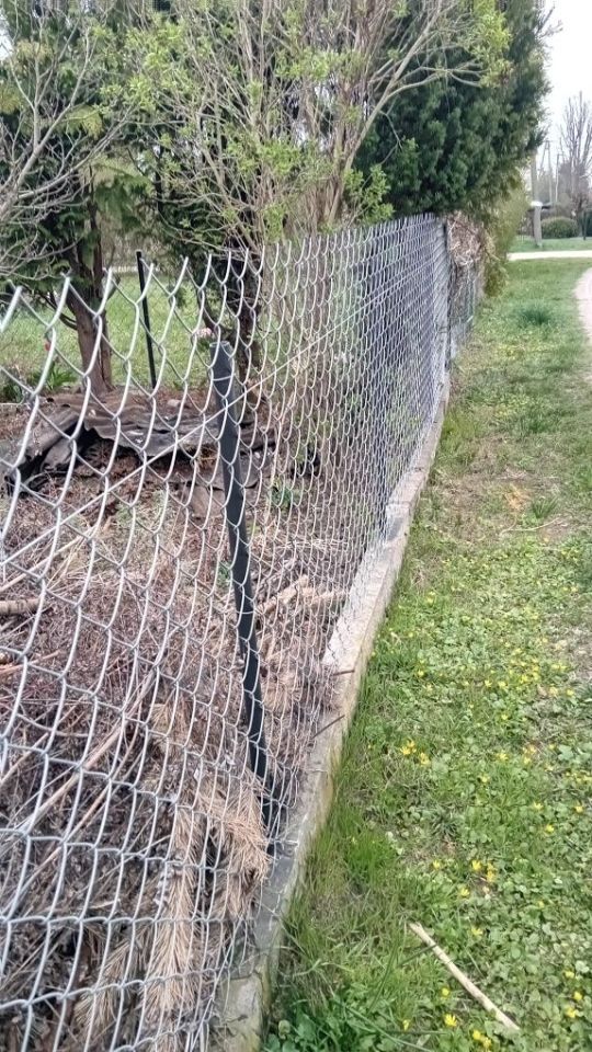 Działka rod Łomianki, ul. Łąkowa. Zdjęcie 3