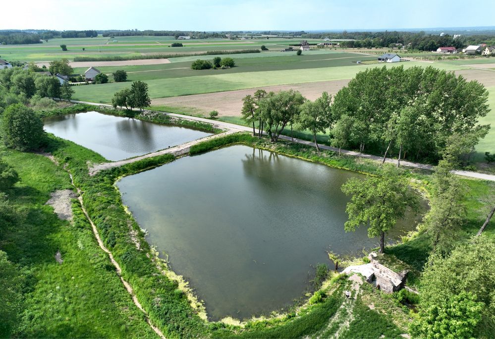 Działka siedliskowa Łaziska. Zdjęcie 3
