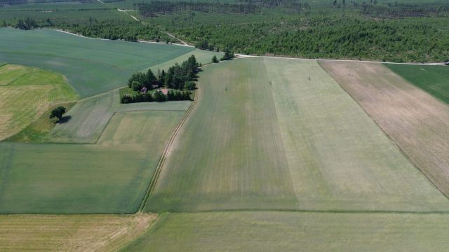 Działka rolna Skwierawy. Zdjęcie 1