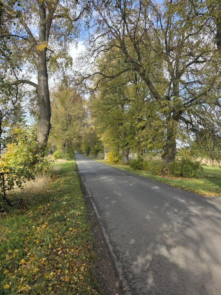 Działka budowlana Pólko, Aleja Lip - Pólko. Zdjęcie 8