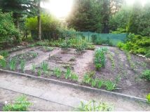 Działka rod Zbąszyń, ul. Graniczna. Zdjęcie 4