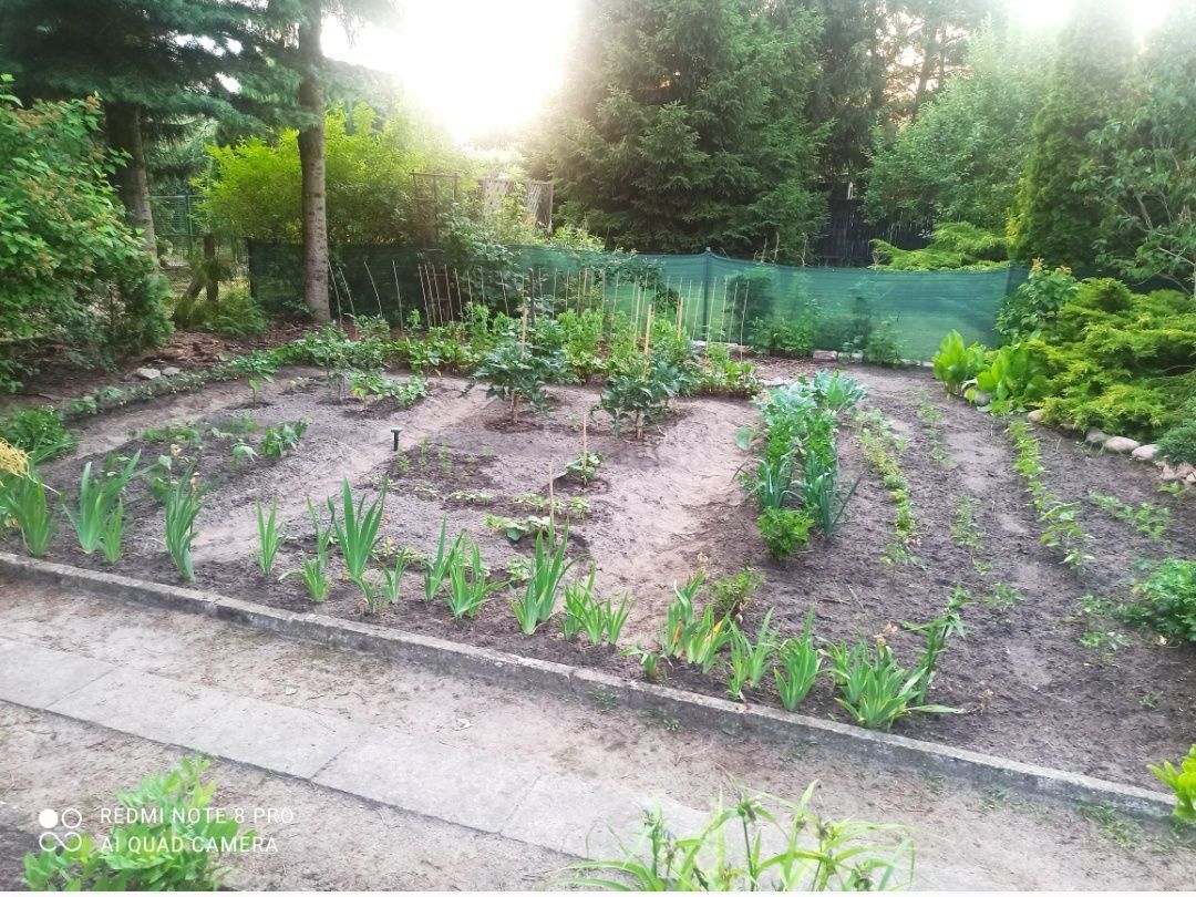 Działka rod Zbąszyń, ul. Graniczna. Zdjęcie 5