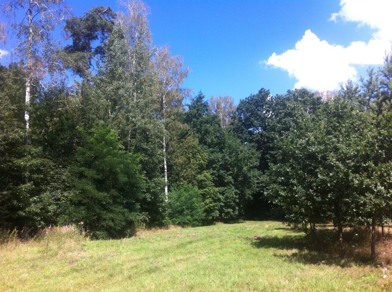 Działka budowlana Trzcianka. Zdjęcie 2