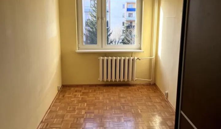 Mieszkanie 4-pokojowe Bełchatów