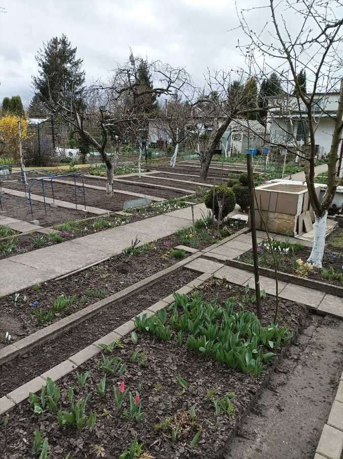 Działka rod Szczecin Pogodno. Zdjęcie 3