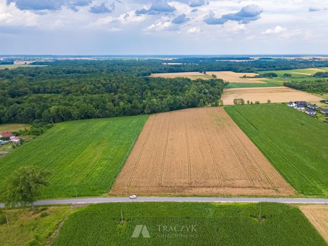 Działka siedliskowa Zachowice. Zdjęcie 3