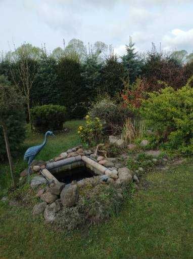 dom wolnostojący Wronczynek. Zdjęcie 3