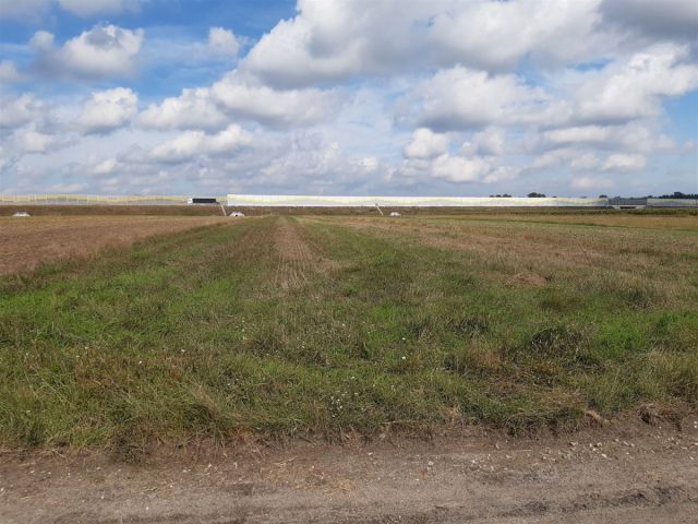 Działka rolna Barycz. Zdjęcie 2