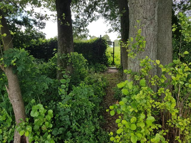 dom wolnostojący, 7 pokoi Strączno. Zdjęcie 18