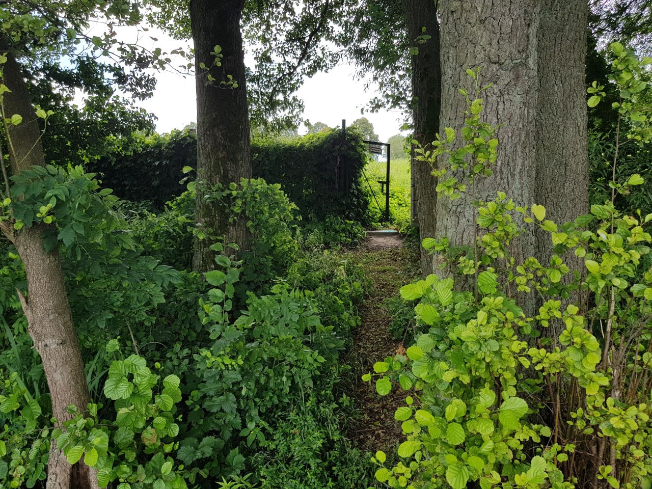 dom wolnostojący, 7 pokoi Strączno. Zdjęcie 18