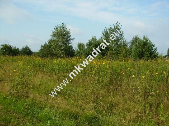 Działka budowlana Czosnów. Zdjęcie 7