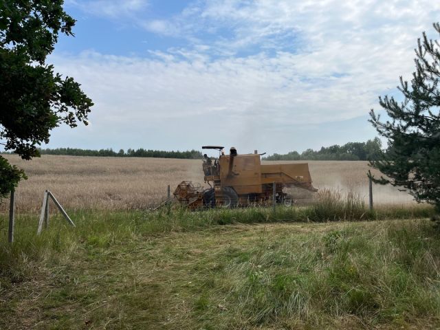 Działka budowlana Pławno. Zdjęcie 1