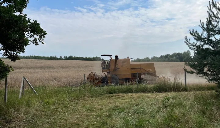 Działka budowlana Pławno