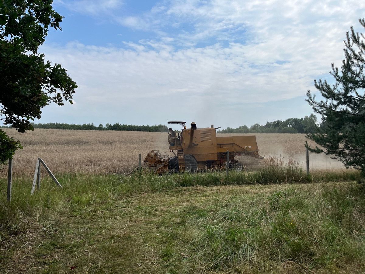 Działka budowlana Pławno. Zdjęcie 1