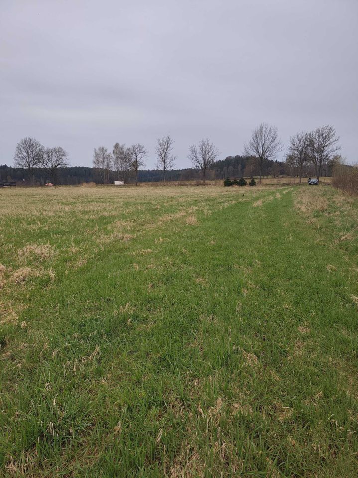 Działka budowlana Wolany. Zdjęcie 6