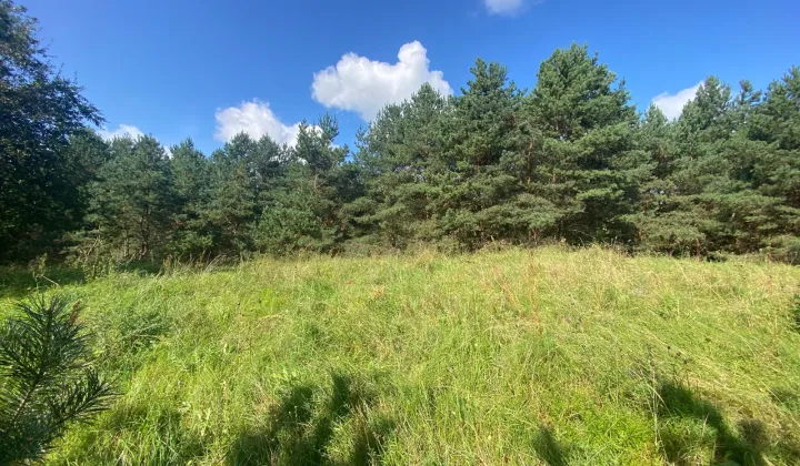 Działka budowlana Małszewo, Małszewo