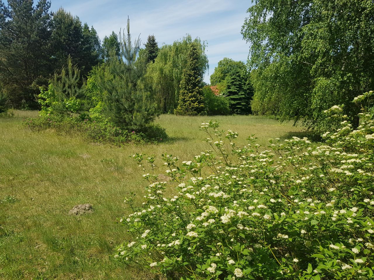 Działka budowlana Milanów. Zdjęcie 10