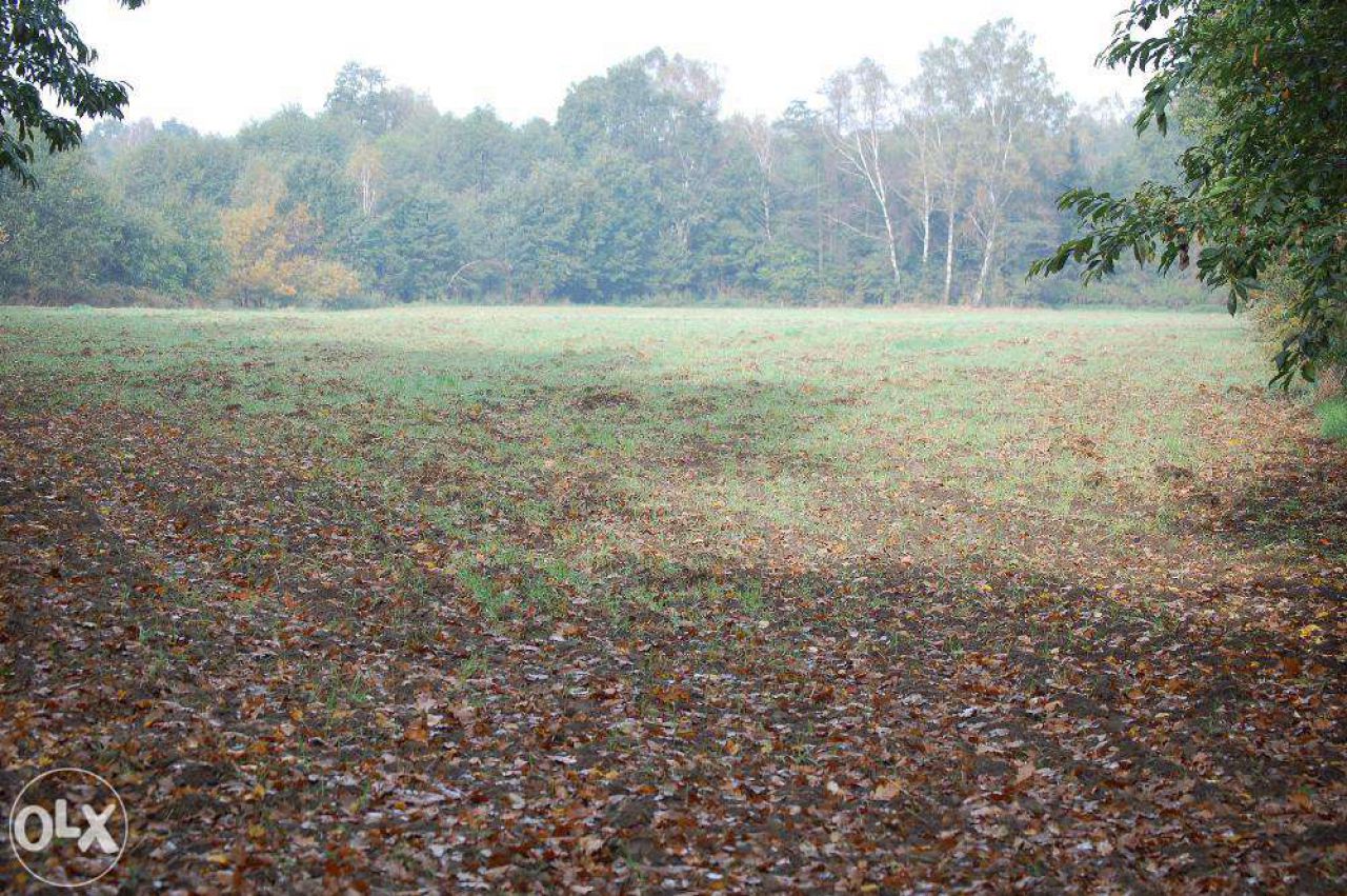 Działka budowlana Pszczyna Stara Wieś, ul. Łowiecka. Zdjęcie 2
