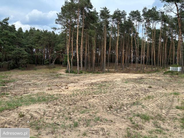 Działka budowlana Ciechocinek, ul. Wołuszewska. Zdjęcie 1