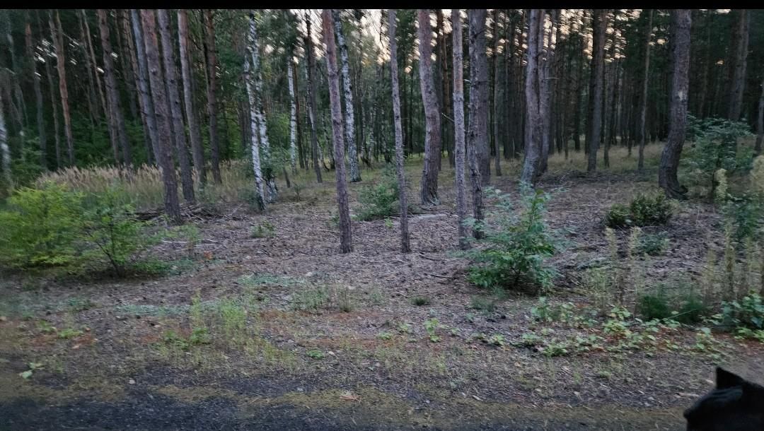 Działka budowlana Solec Kujawski, ul. Garbary. Zdjęcie 11