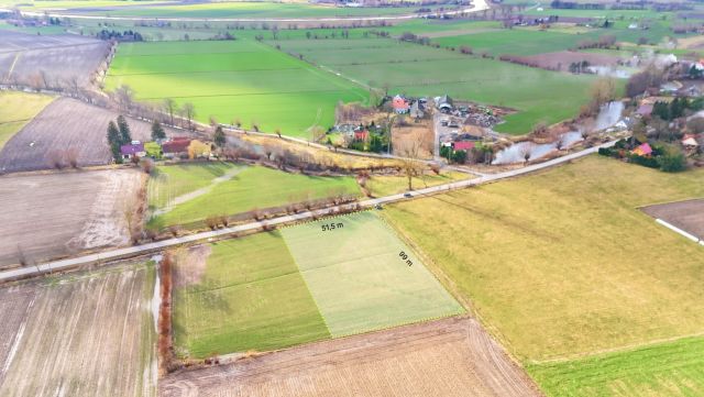 Działka rolno-budowlana Stegienka. Zdjęcie 1