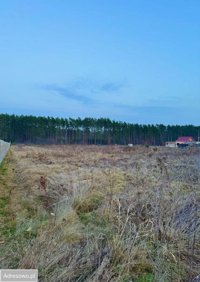 Działka budowlana Jaźwiny, ul. Leśna. Zdjęcie 2