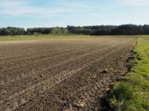 Działka rolna Głupianka. Zdjęcie 2