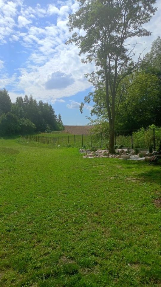 Działka rolno-budowlana Głuchówek. Zdjęcie 7