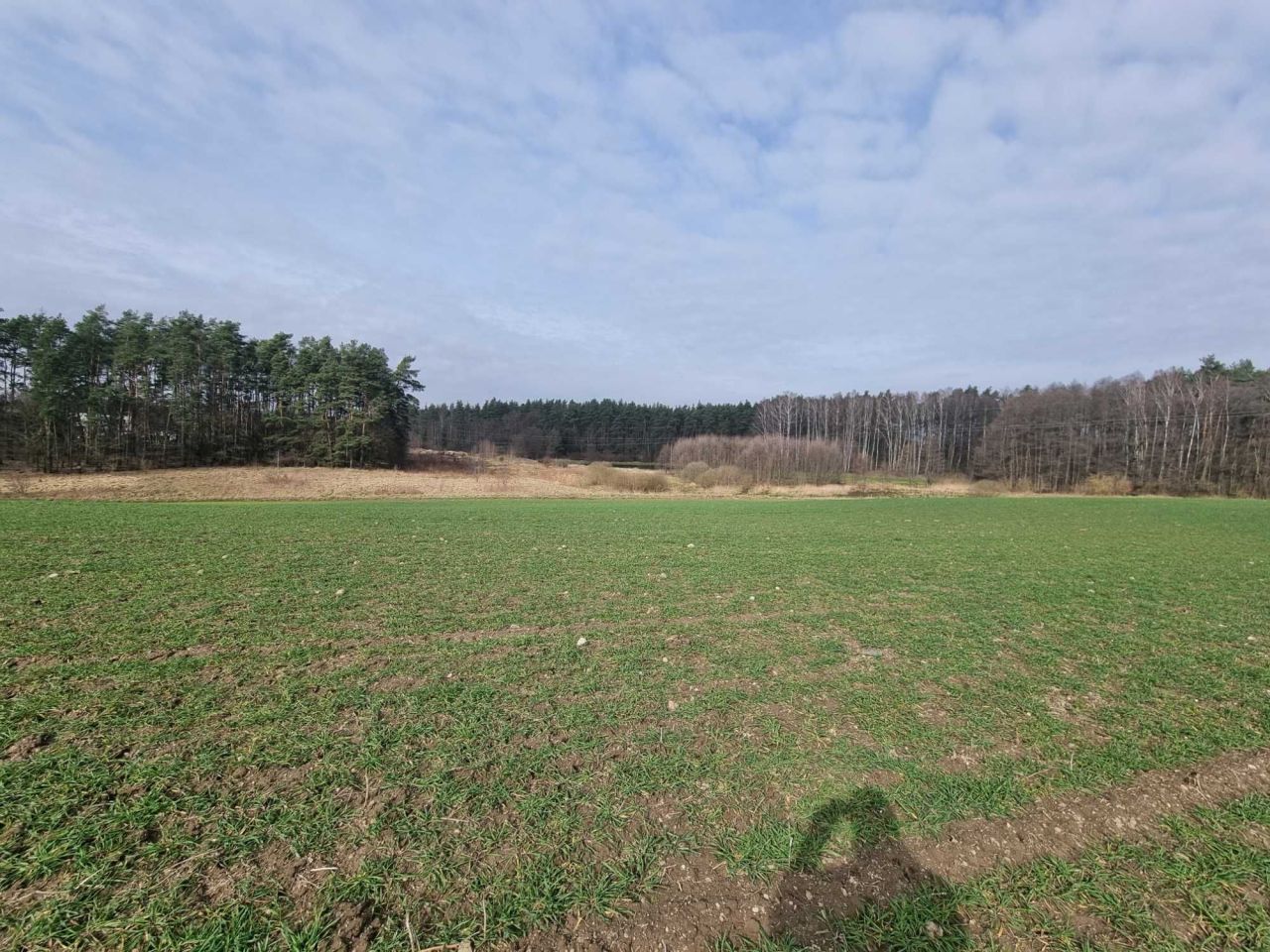 Działka budowlana Rokocin, ul. Diamentowa. Zdjęcie 2